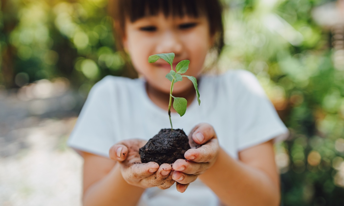 Ein Kind hält mit Erde verschmutzten Händen ein kleines Pflänzchen in die Kamera. Das Bild symbolisiert Hoffnung und Verantwortung für den Klimaschutz.