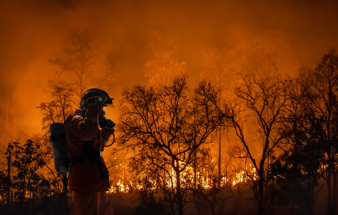 Feuerwehrmann vor einem Waldbrand